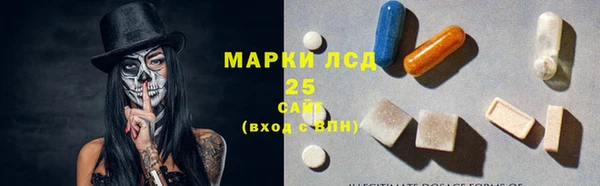 PSILOCYBIN Аркадак