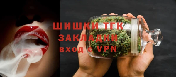 PSILOCYBIN Аркадак
