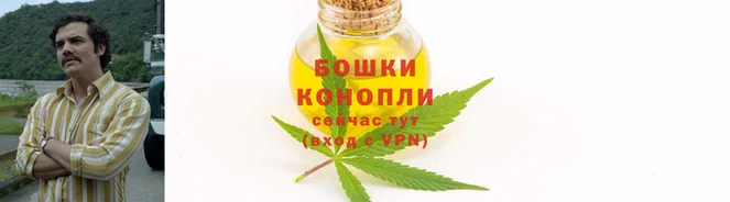 PSILOCYBIN Аркадак