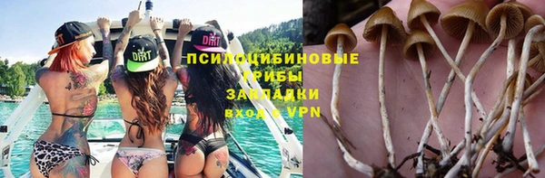 PSILOCYBIN Аркадак