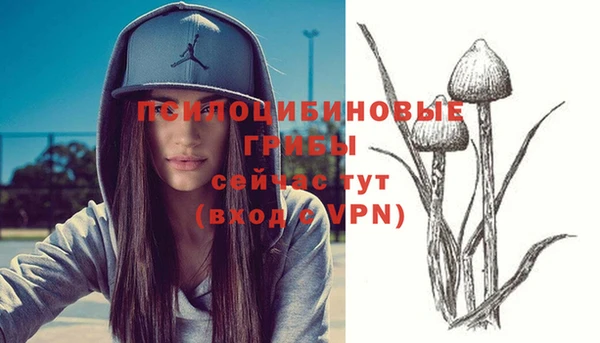 круглые Армянск
