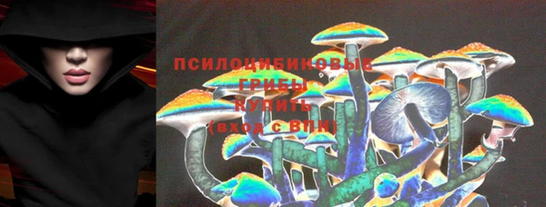 прущая мука Арсеньев