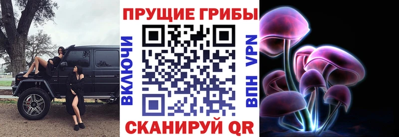 Галлюциногенные грибы Psilocybe  omg tor  Маркс  купить  цена 
