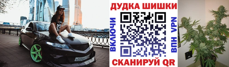Канабис ГИДРОПОН  Маркс 